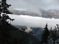 Foggy Morning Mountains